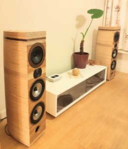 Set multiplex speakers